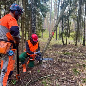 Motorsägenkurs ASB B 08/09.05 & 16.05.2026
